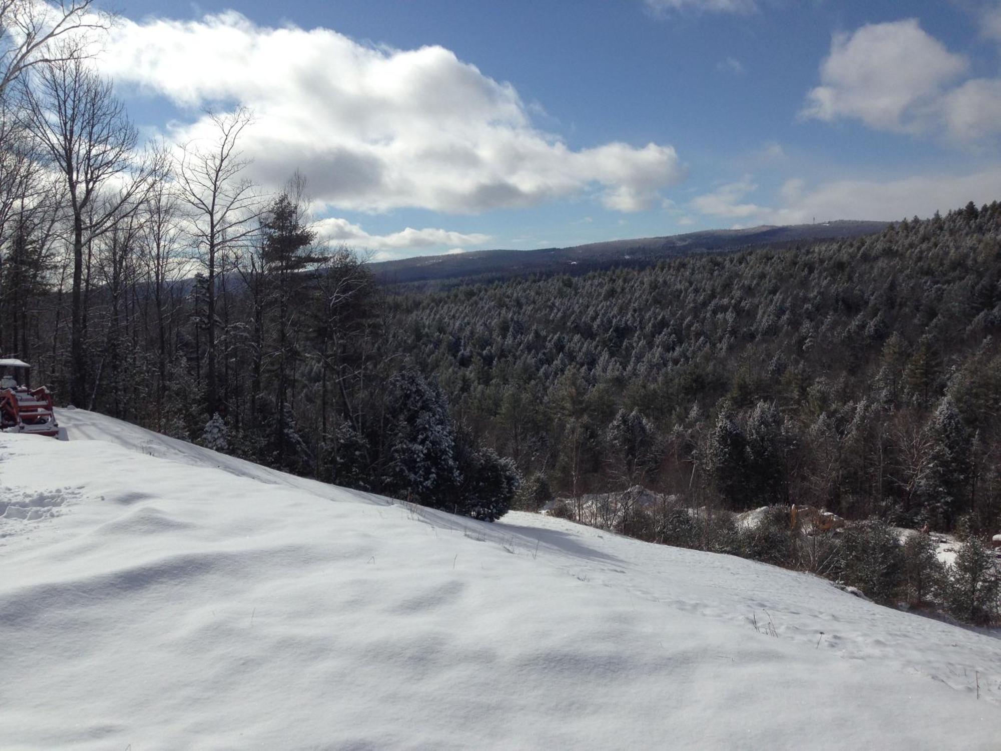 Adams Hill House Retreat - Artist-Architect'S Estate, Newfane Vermont Bagian luar foto