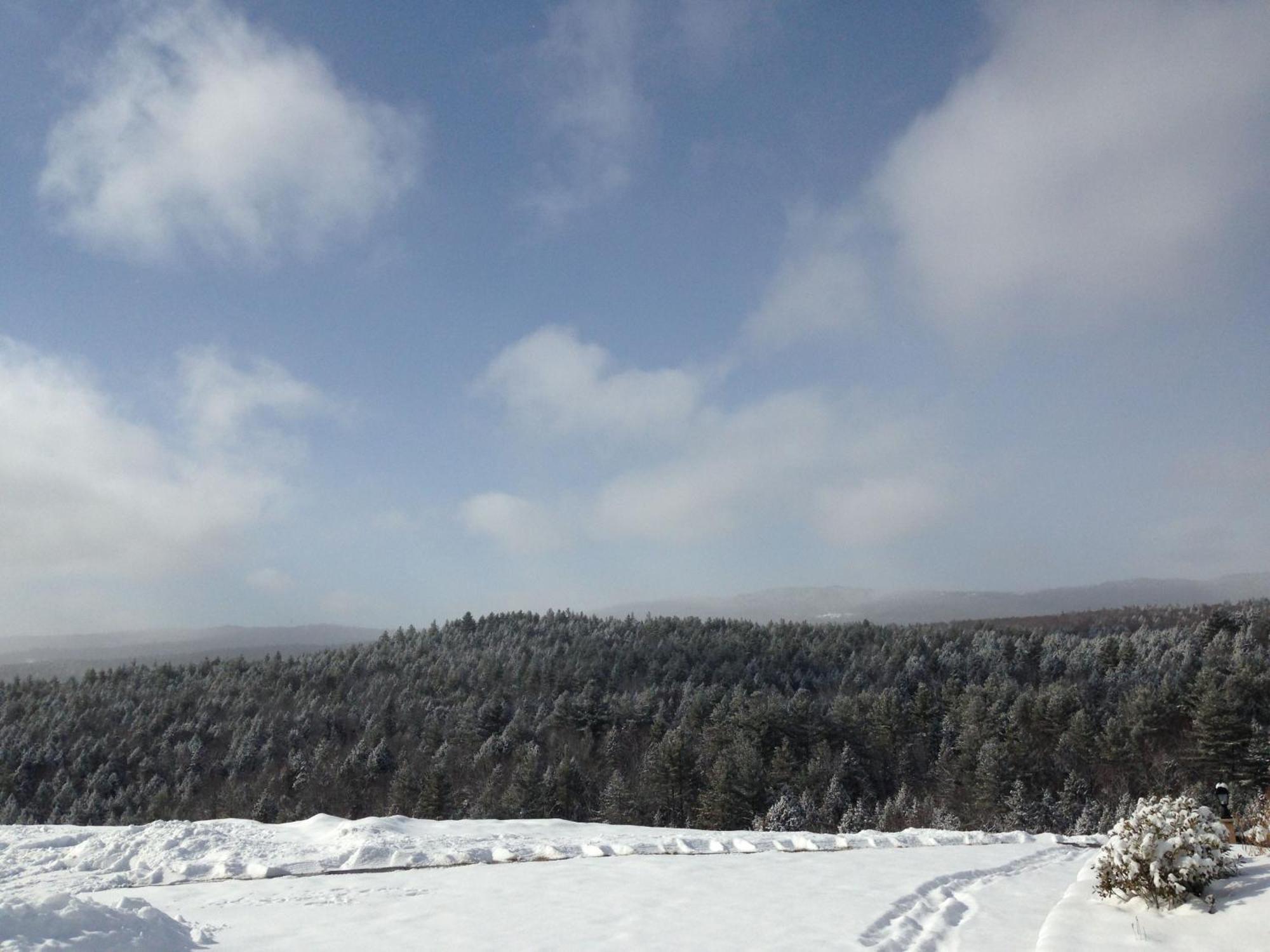 Adams Hill House Retreat - Artist-Architect'S Estate, Newfane Vermont Bagian luar foto