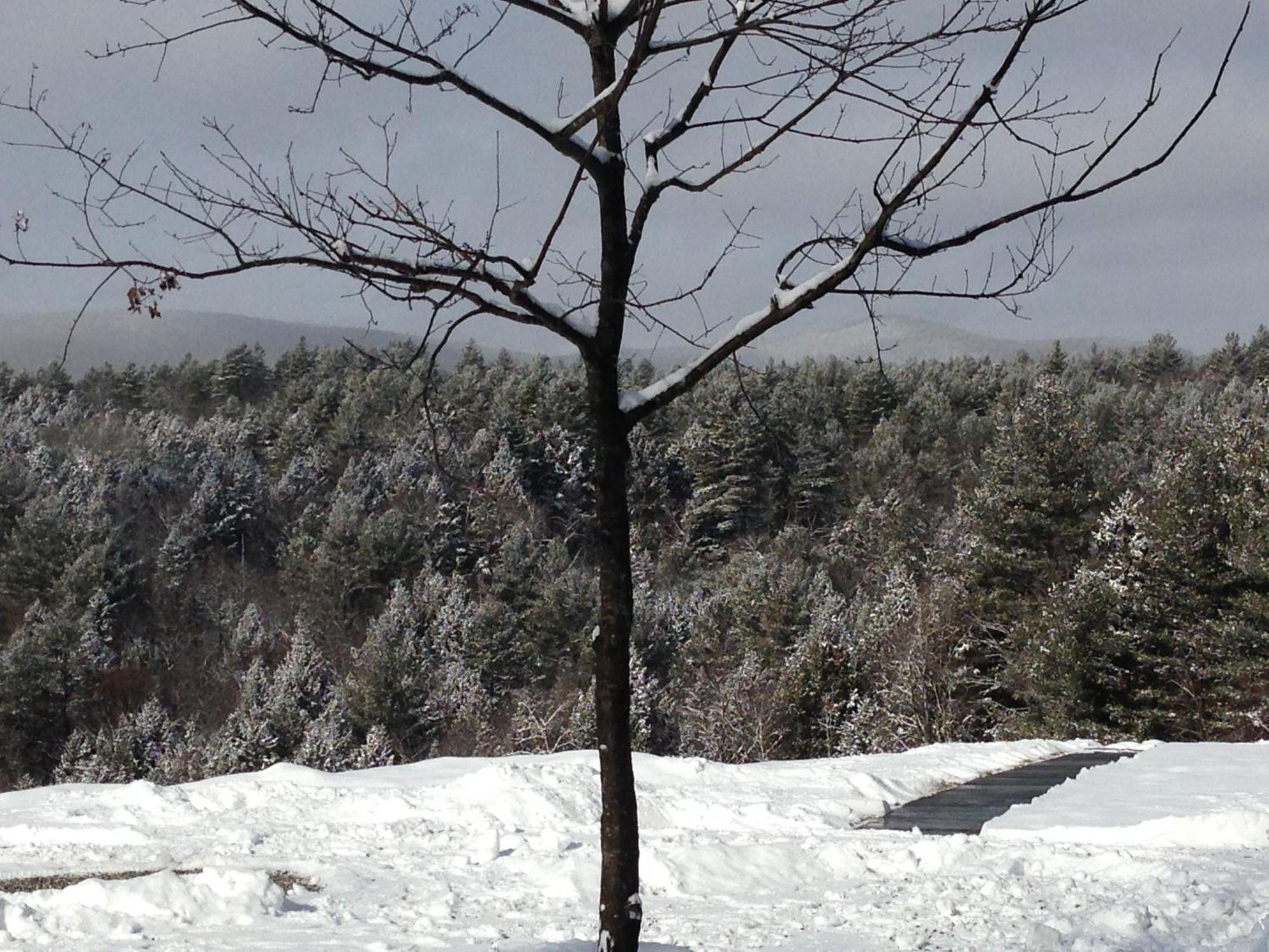 Adams Hill House Retreat - Artist-Architect'S Estate, Newfane Vermont Bagian luar foto
