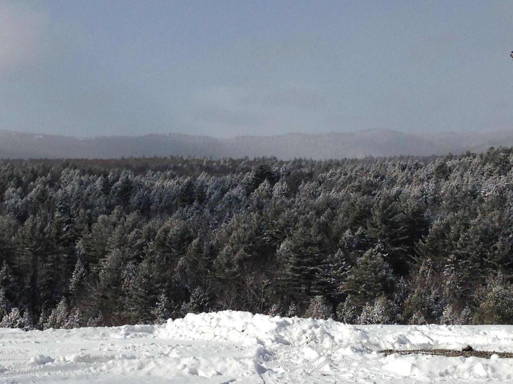 Adams Hill House Retreat - Artist-Architect'S Estate, Newfane Vermont Bagian luar foto