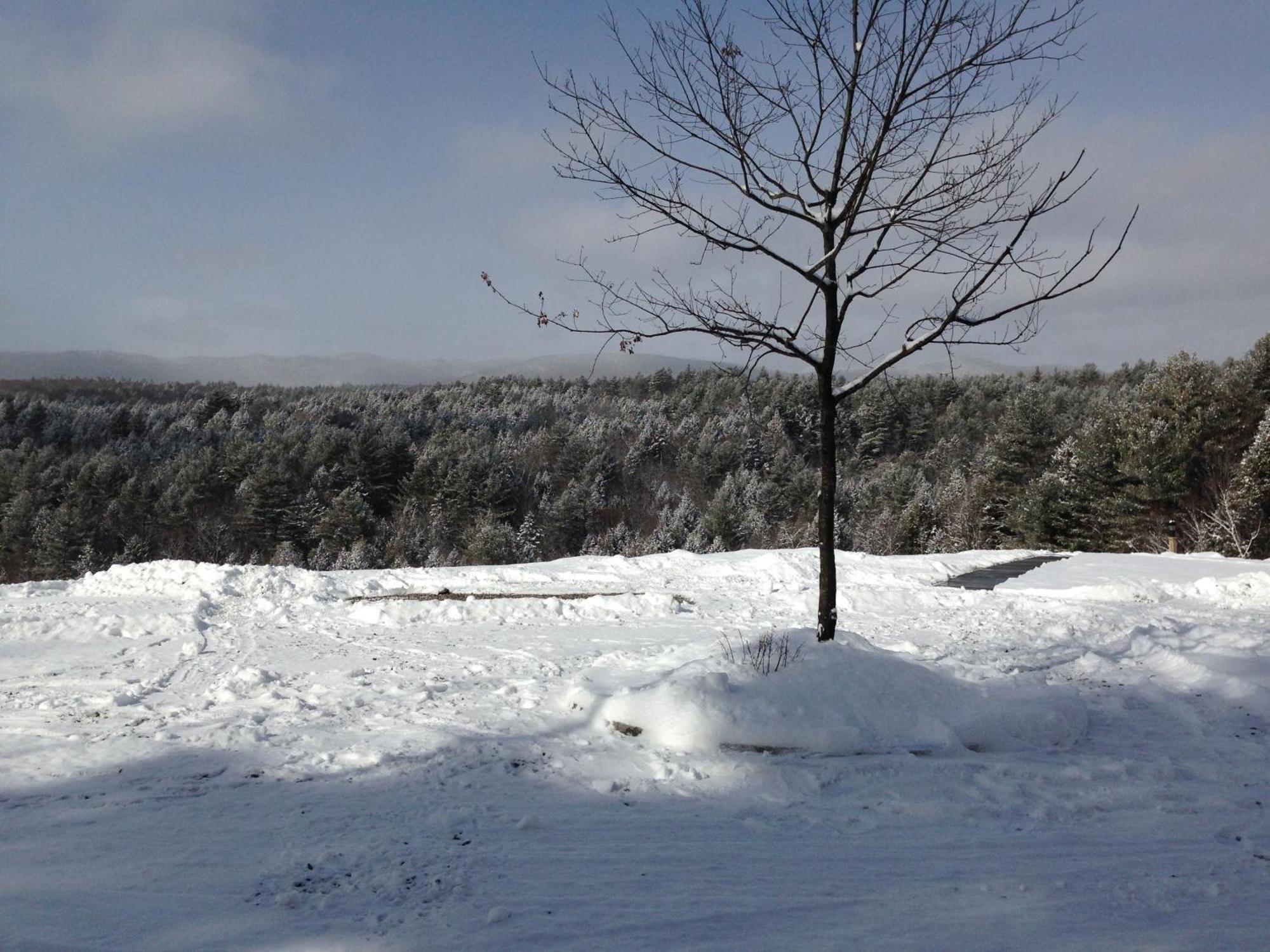 Adams Hill House Retreat - Artist-Architect'S Estate, Newfane Vermont Bagian luar foto